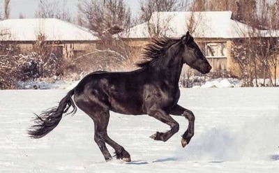 Приобретение Входного билета "Эконом" - 100 000 сум