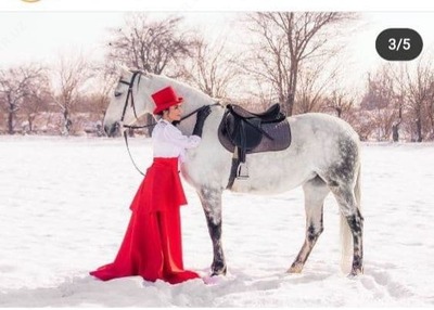 Аренда лошадей для фотосессий - от 200 000 сум