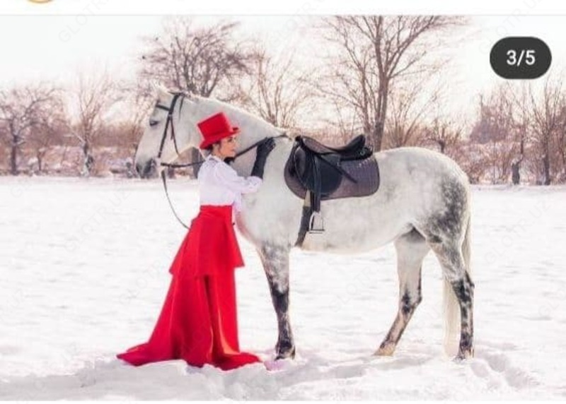 Fotosessiyalar uchun ot ijarasi - 200 000 so'mdan