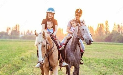 Обучение верховой езде на лошадях