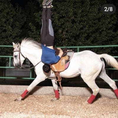 Цена по запросу Обучение верховой езде "Джигитовка" на лошадях