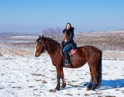 Увлекательные конные прогулки на природе