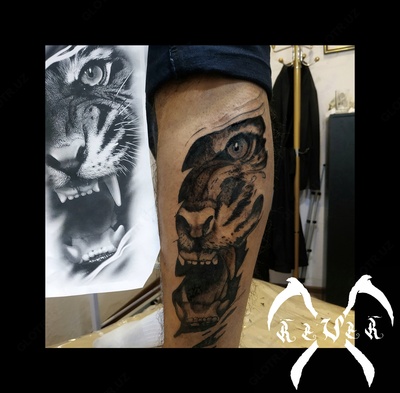 Oshqozonda anal jinsiy aloqa Qizlar jinsiy rasmlar