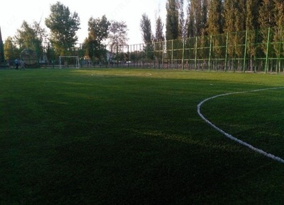 114 000 сум / рулон Искусственный газон (трава)