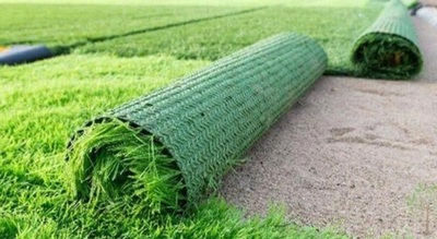 Газон вариант № 1