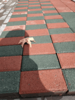 Yo'l toshlari - {0} so'mdan