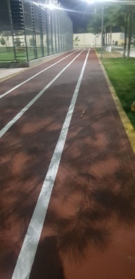 Резиновое покрытие вариант № 3 Резиновое покрытие вариант № 3