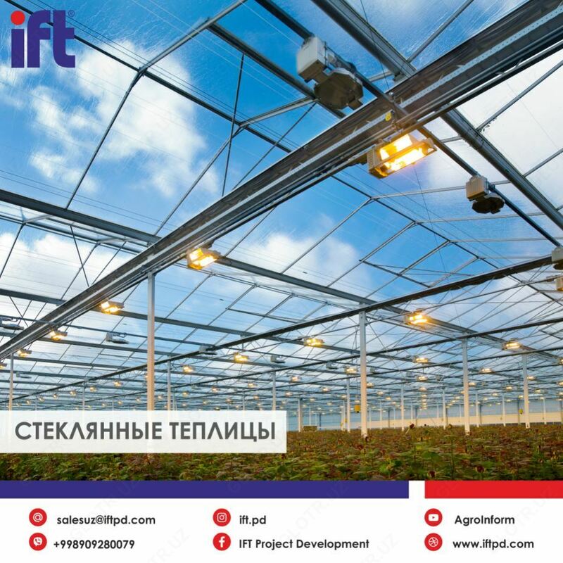 Теплицы Dalsem