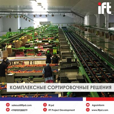 Сортировочные линии  MAF RODA AGROBOTIC - Цена по запросу