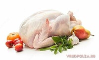 Мясо Индюка