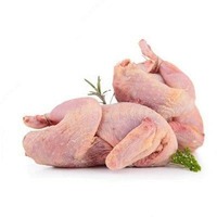 от {0} сум Мясо Индюка