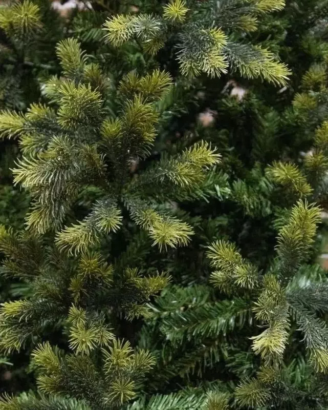 "Kreml" yangi yil daraxti - 2 200 000 so'm