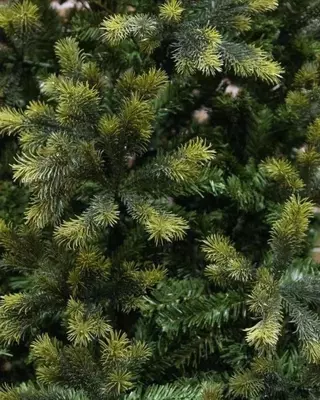 Новогодняя ёлка "Кремлёвская"