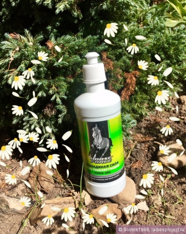  Лошадиная сила Тонизирующий гель для вен-тоник Horse Force - 