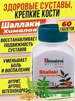 Himalaya Shallaki