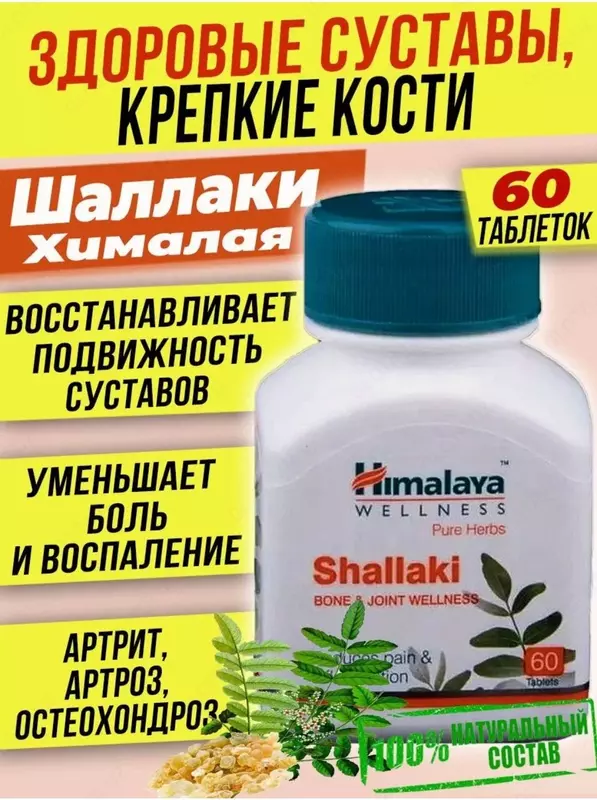 Himalaya Shallaki