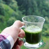 Kilogramm yo'qotish uchun turkcha choy matcha - Shifoshop.Uz