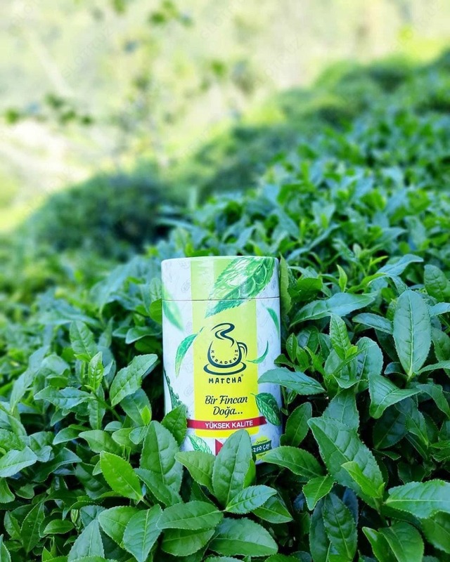 Kilogramm yo'qotish uchun turkcha choy matcha Ozish uchun vositalar