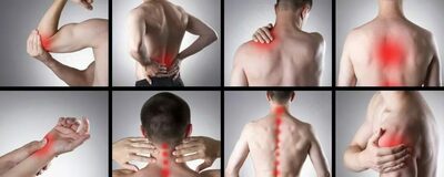 Noxa 20 (Нокса 20) для суставов и позвоночника - Shifoshop.Uz