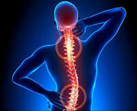 Disaar mushaklari va bo'g'imlarida og'riq uchun malham Shifoshop.Uz