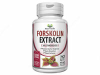 Экстракт Форсколина 20% от Natura Life