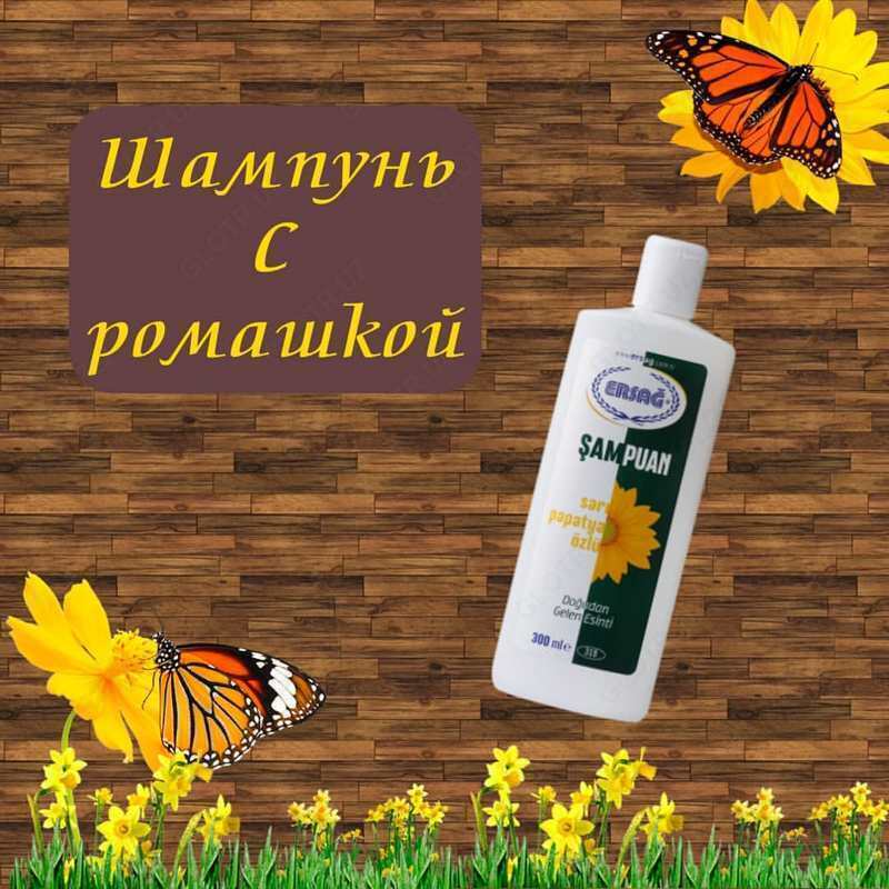 Ersag shampuni moychechak 300ml Chakana savdo