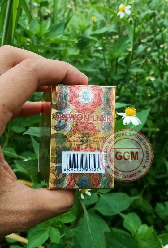  Tawon Liar Bee qoshma kapsulalari Chakana savdo