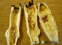 Фитосвечи (ушные свечи) Только в розницу