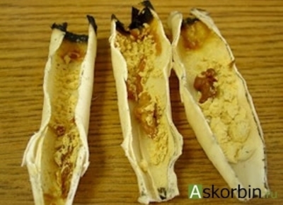 Fito shamlar (quloq shamlari) Chakana savdo