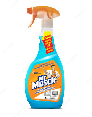 Mr. Muscle спрей для стекол и поверхностей 500 гр После дождя
