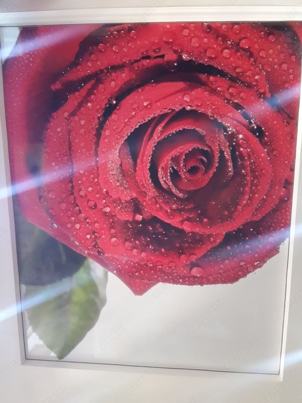  5-sonli fotosurat bosma bilan chozilgan ship - 