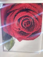  5-sonli fotosurat bosma bilan chozilgan ship - 