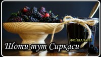  ШОТУТ СИРКАСИ ШИ - 