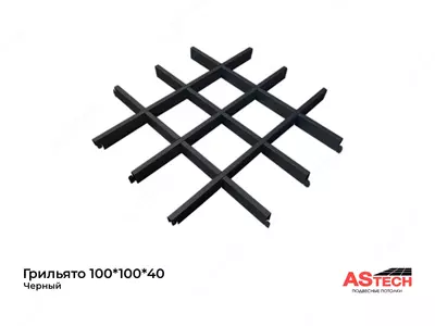 Потолок Грильято черный 100*100*40