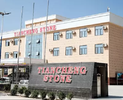  Qora Olmosli sayqallangan kvadrat granit shkaflari - 