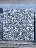 Гранитные плитки Куксарой Б блок