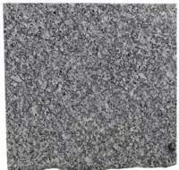 Kuksaroy granit plitkalari (og‘neish ishlov)