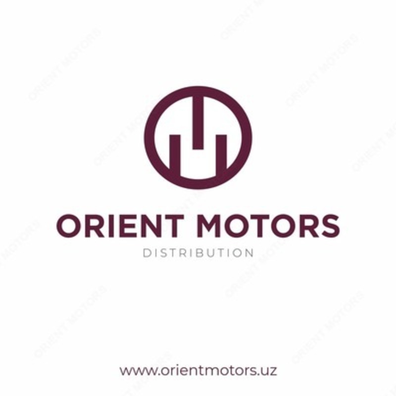 ORIENT MOTORS I
