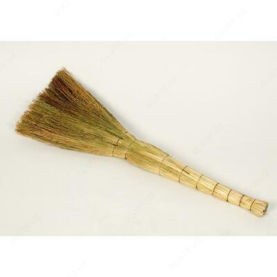 Sorghum supurgi 3 tikilgan