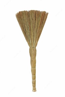 Sorghum supurgi 4 nurli