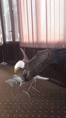 Скульптура "Белоголовый орлан с пойманной рыбой"