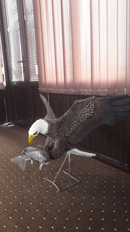 "Taqal burgut tutilgan baliq bilan" haykali - 6 001 590 so'm