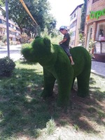 "Ayiq" o'simlik haykaltaroshligi