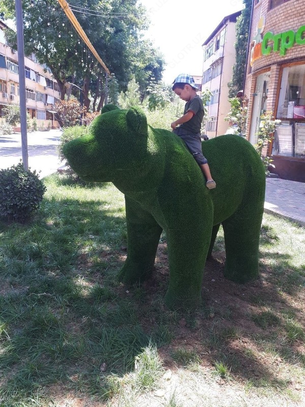 "Ayiq" o'simlik haykaltaroshligi - 13 189 099 so'm