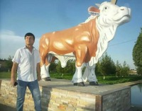 "Buqa" haykaltaroshligi - 35 889 690 so'm