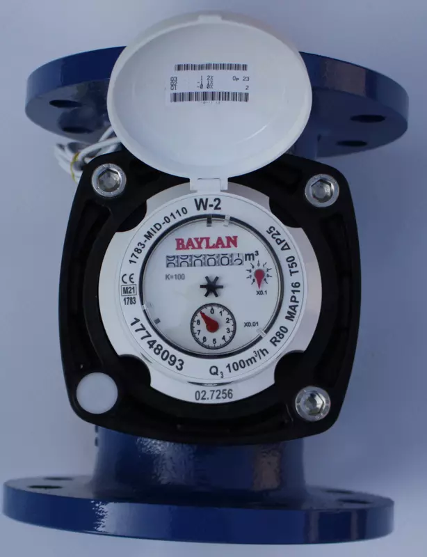 Счетчик воды турбинный W2 DN100 BAYLAN