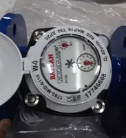 Счетчик воды WOLTMANN W-0 DN65