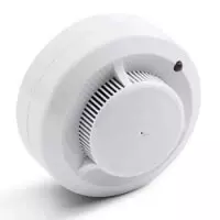 Avtonom optik-elektron tutun detektori "Rubezh" IP 212-142 (Rossiya) - 83 263 so'm