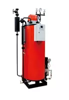 Vertikal bug 'generatori 300kg/soat gaz gorelkasi bilan - 40 000 000 so'mdan