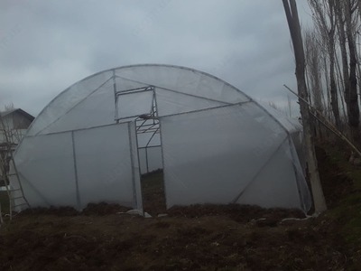 Теплица № Т 001